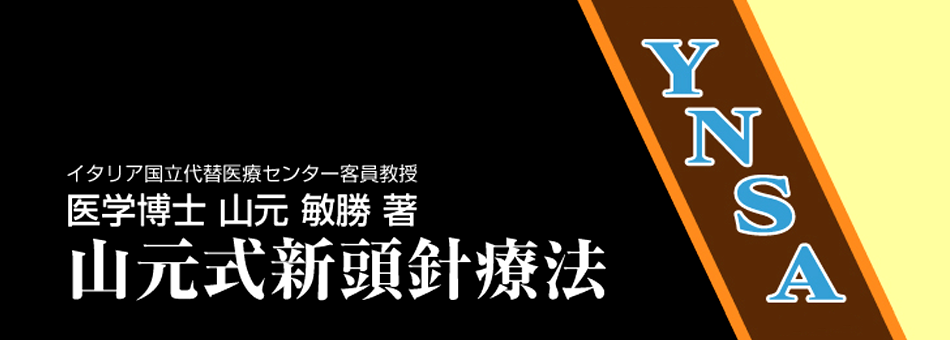 YNSA学会(山元式新頭針療法)