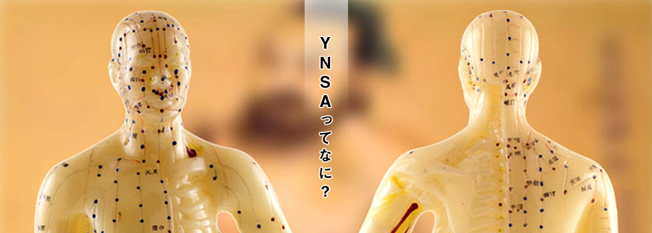 YNSA学会(山元式新頭針療法)