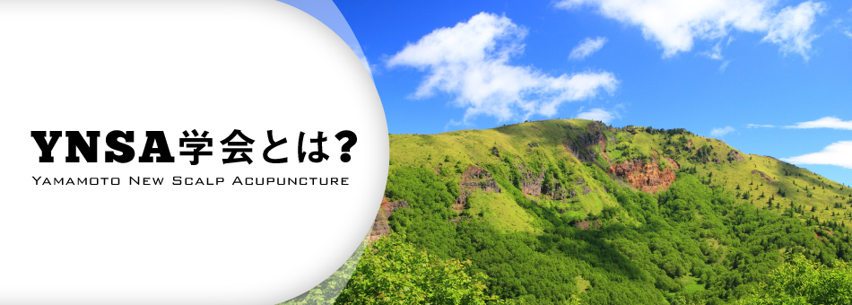 YNSA学会(山元式新頭針療法)
